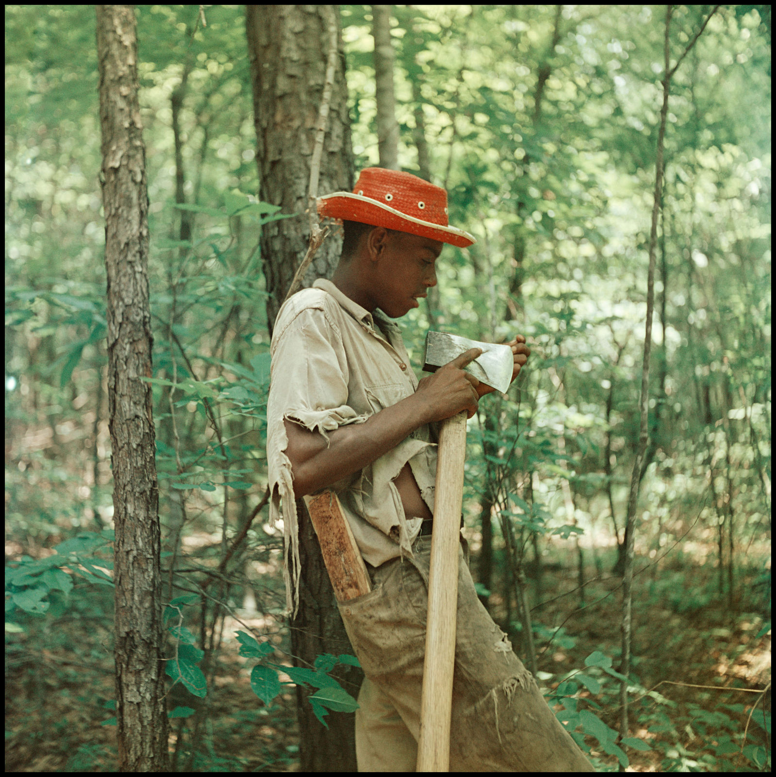 Gordon Parks, Untitled, Shady Grove, Alabama (37.149), 1956
