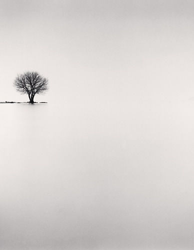 Michael Kenna, Biwa Lake Tree, Study #2, 2002