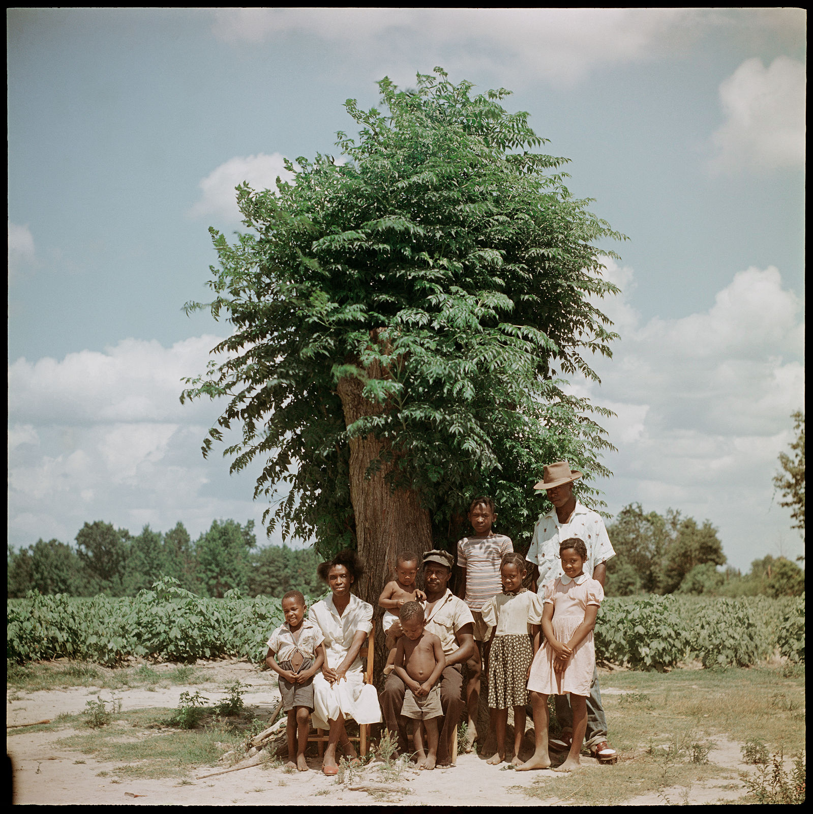 Gordon Parks, Untitled, Shady Grove, Alabama (37.072), 1956