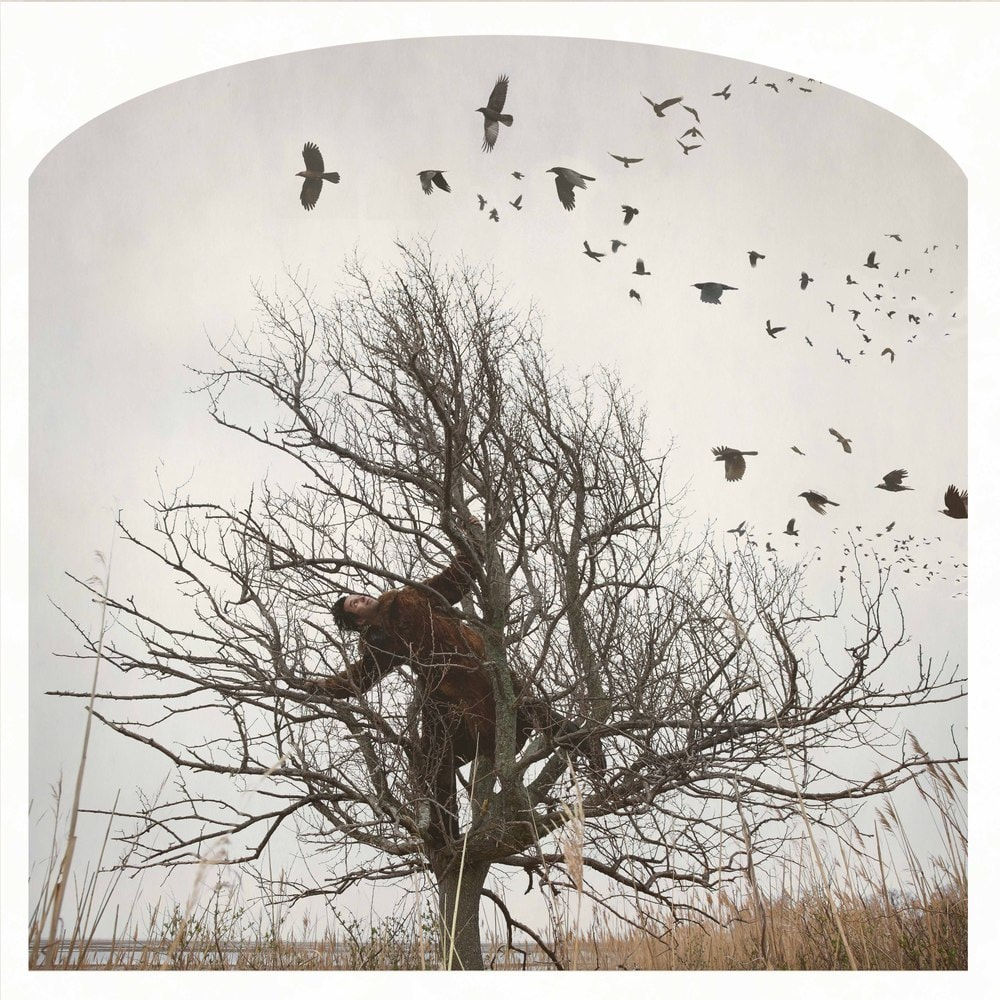 Kahn + Selesnick, Raven Tree, 2012
