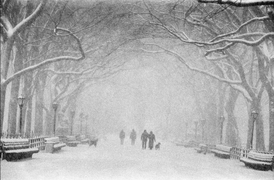 Bruce Davidson, Central Park in winter, USA New York City, 1992