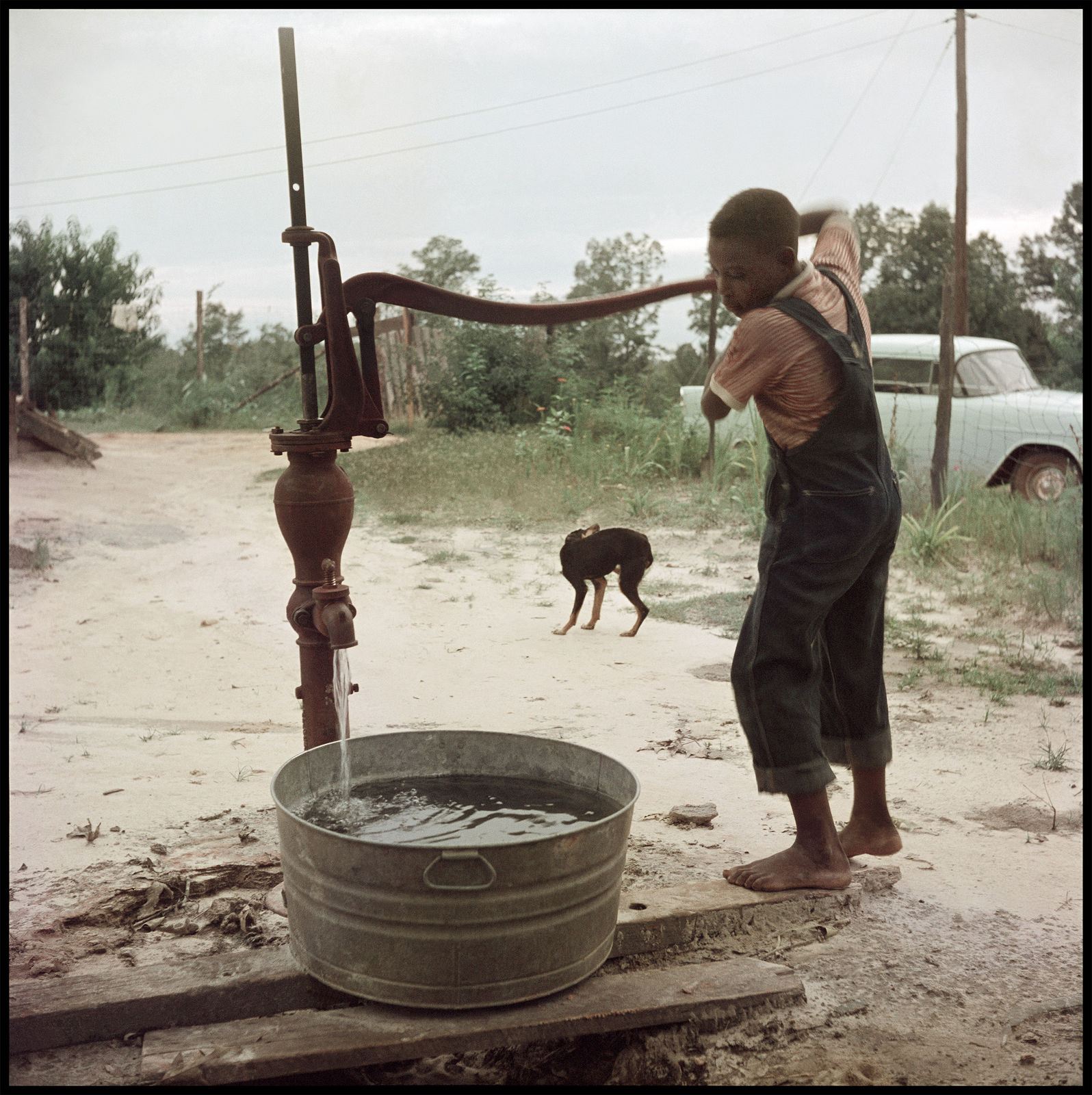 Gordon Parks, Untitled, Shady Grove, Alabama (37.043), 1956
