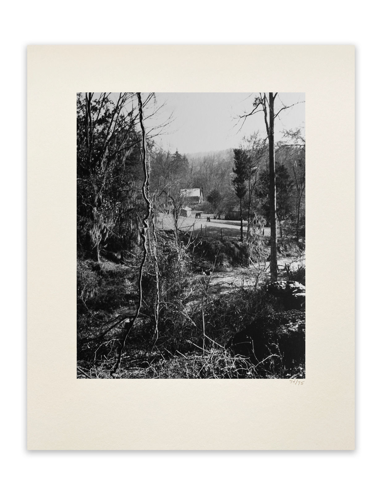 Eudora Welty, Ghost River-town, 1942