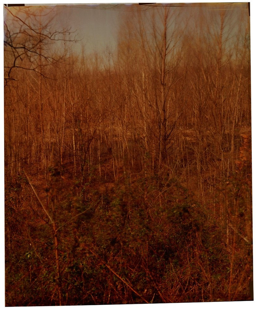 John Chiara, Stovell Road at Stovell , 2014