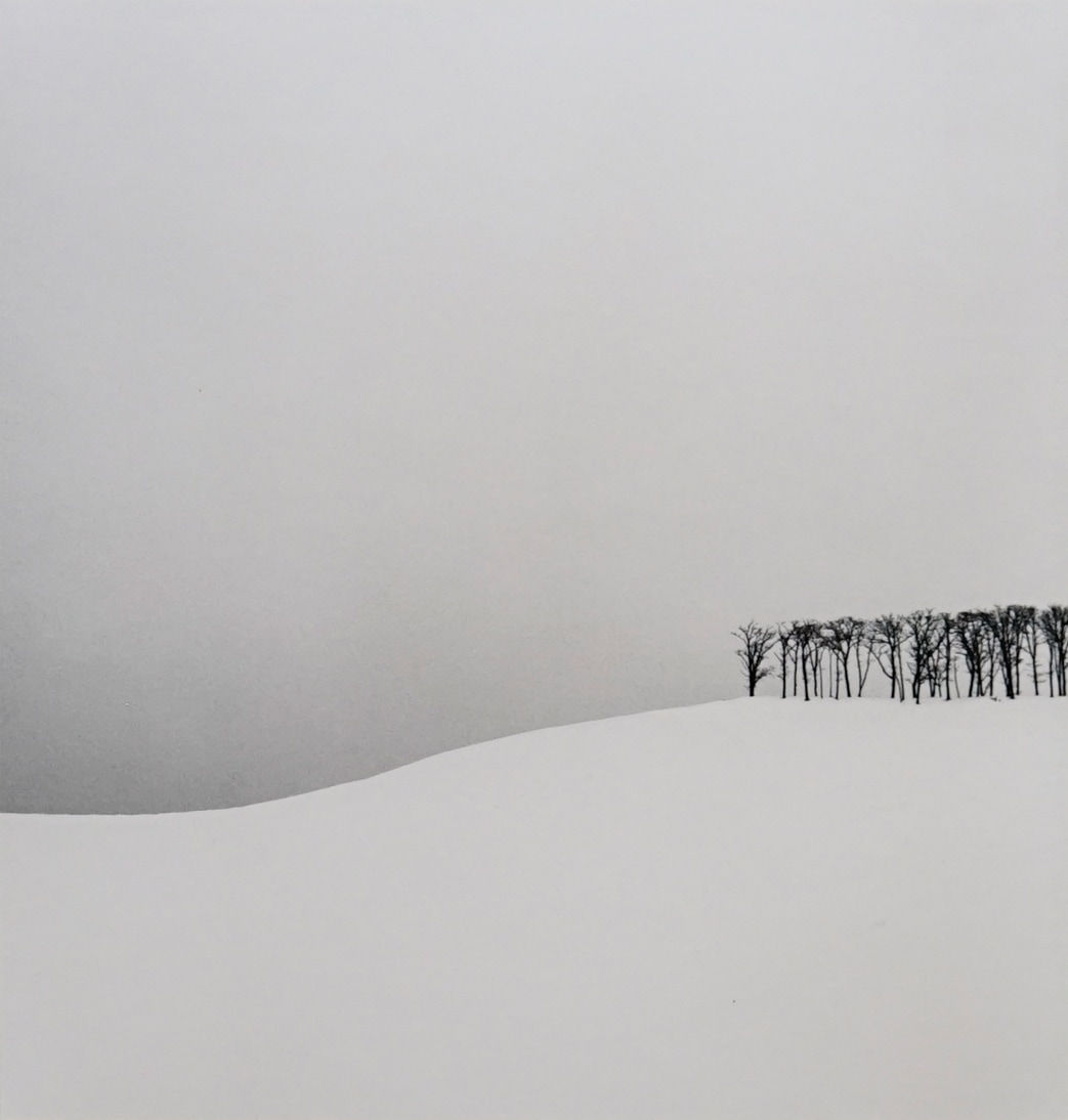 Michael Kenna, Hilltop Trees, Teshikaga, Hokkaido, Japan, 2003