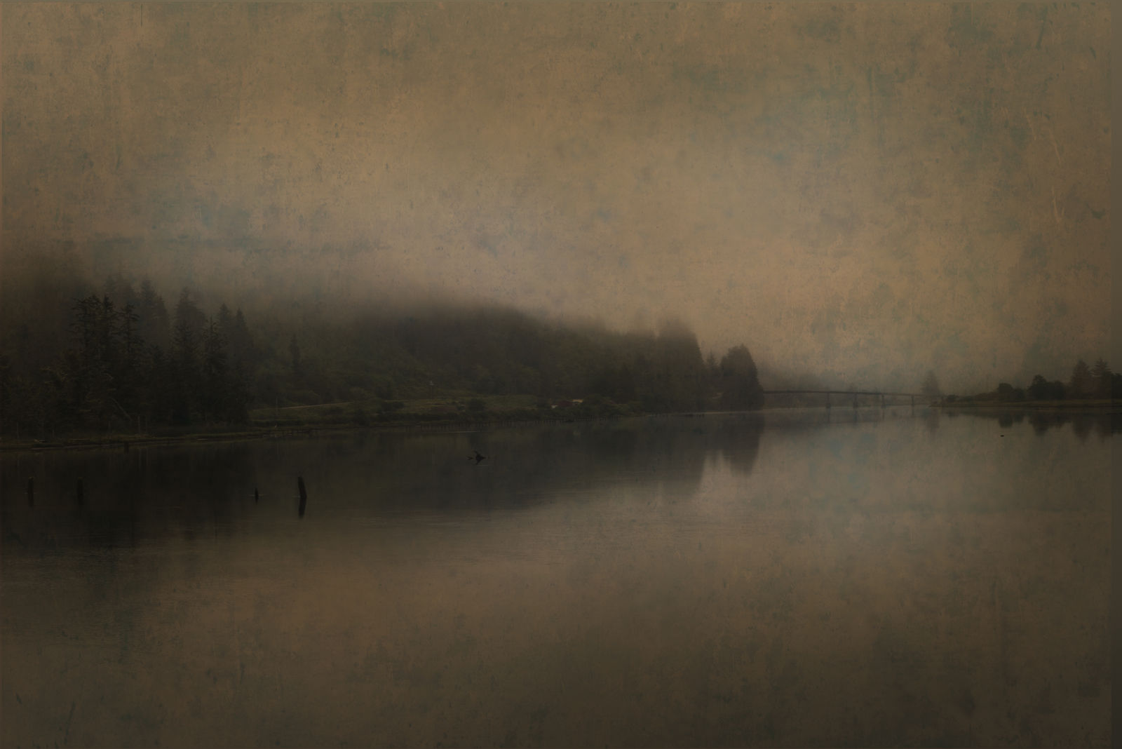 Jack Spencer, Smith River, Reedsport, Oregon, 2014
