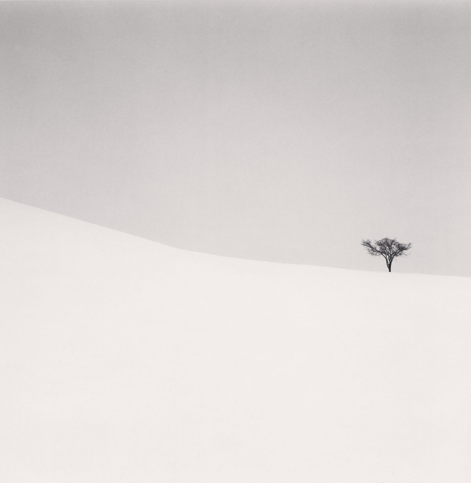 Michael Kenna, Single Tree, Mita, Hokkaido, Japan, 2007