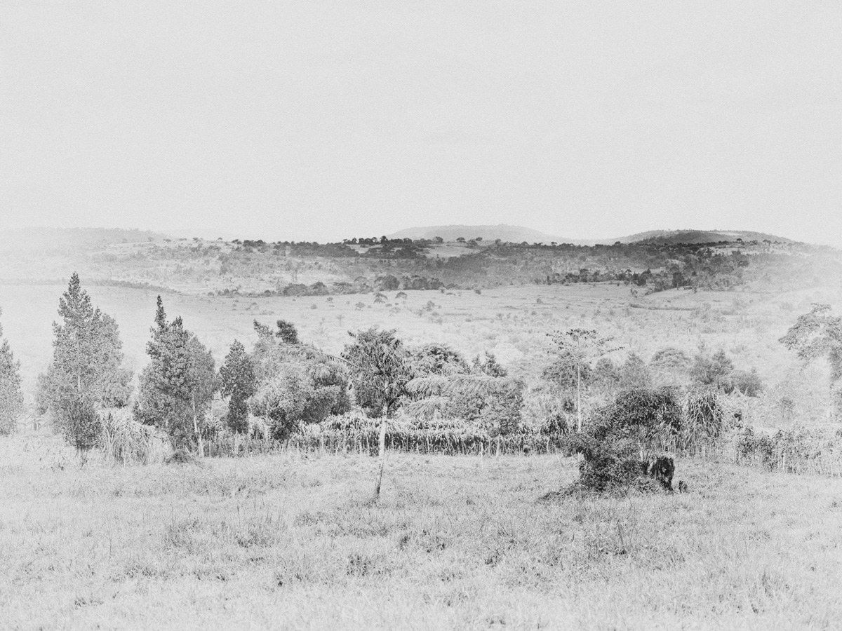 Bastiaan Woudt, Untitled from the series Mukono