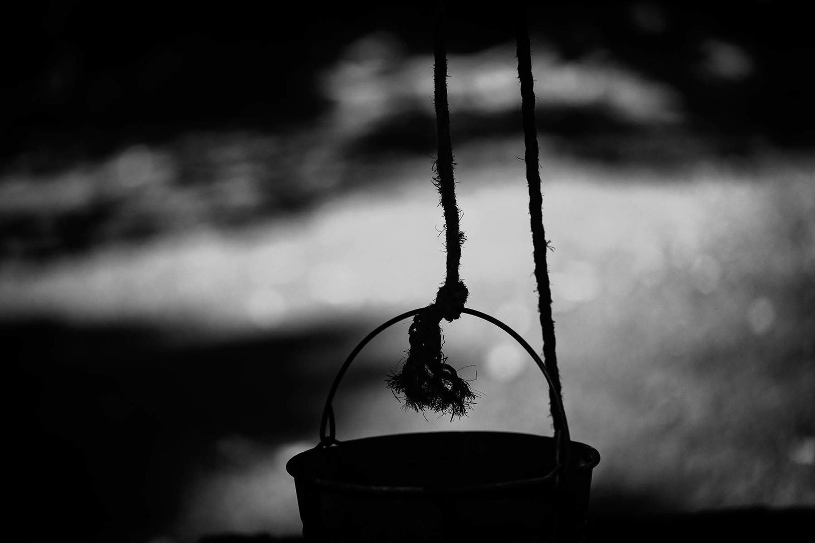 Sheila Pree Bright, Rope, 2019