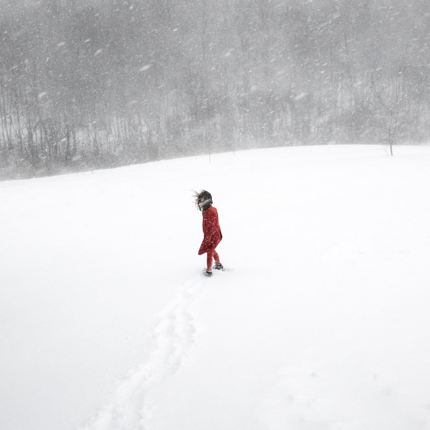 Cig Harvey, Scout in the Blizzard, Rockport, Maine, 2017