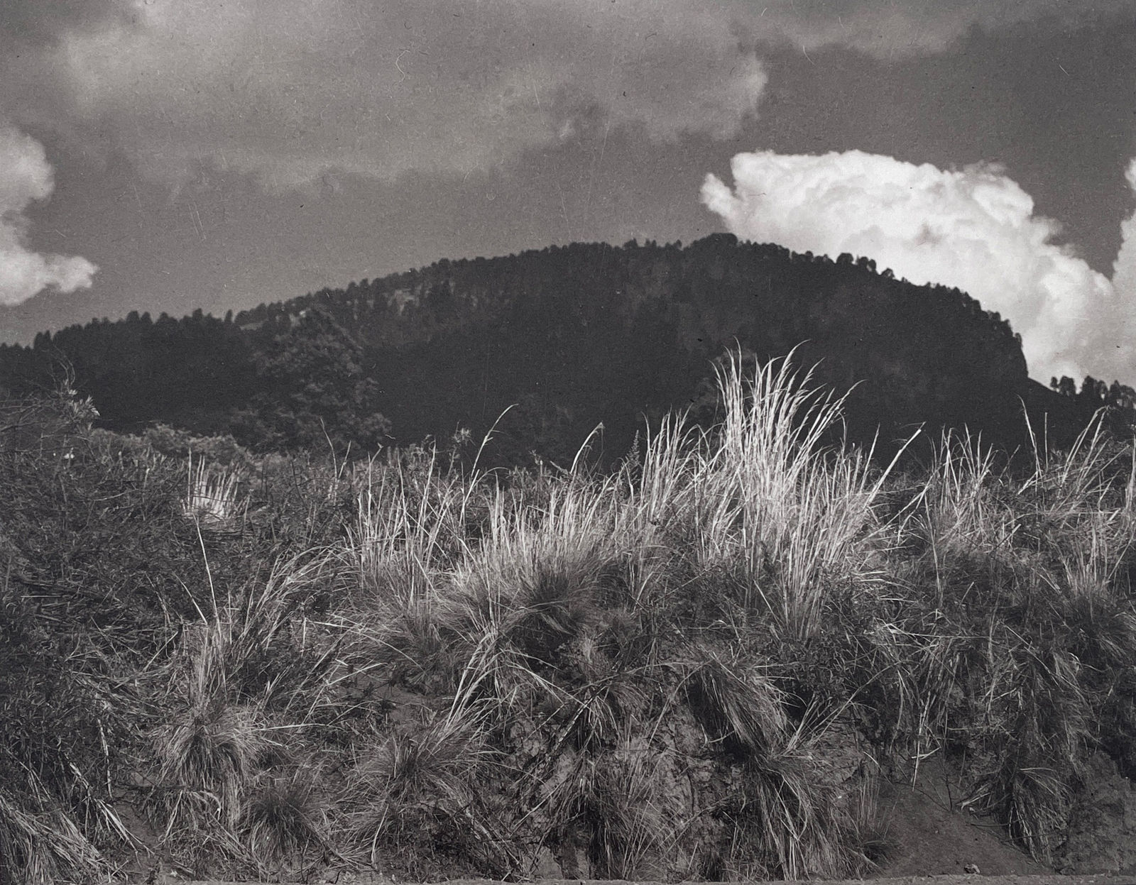 Manuel Álvarez Bravo, Platinum portfolio (portfolio of 10), 1927-1974