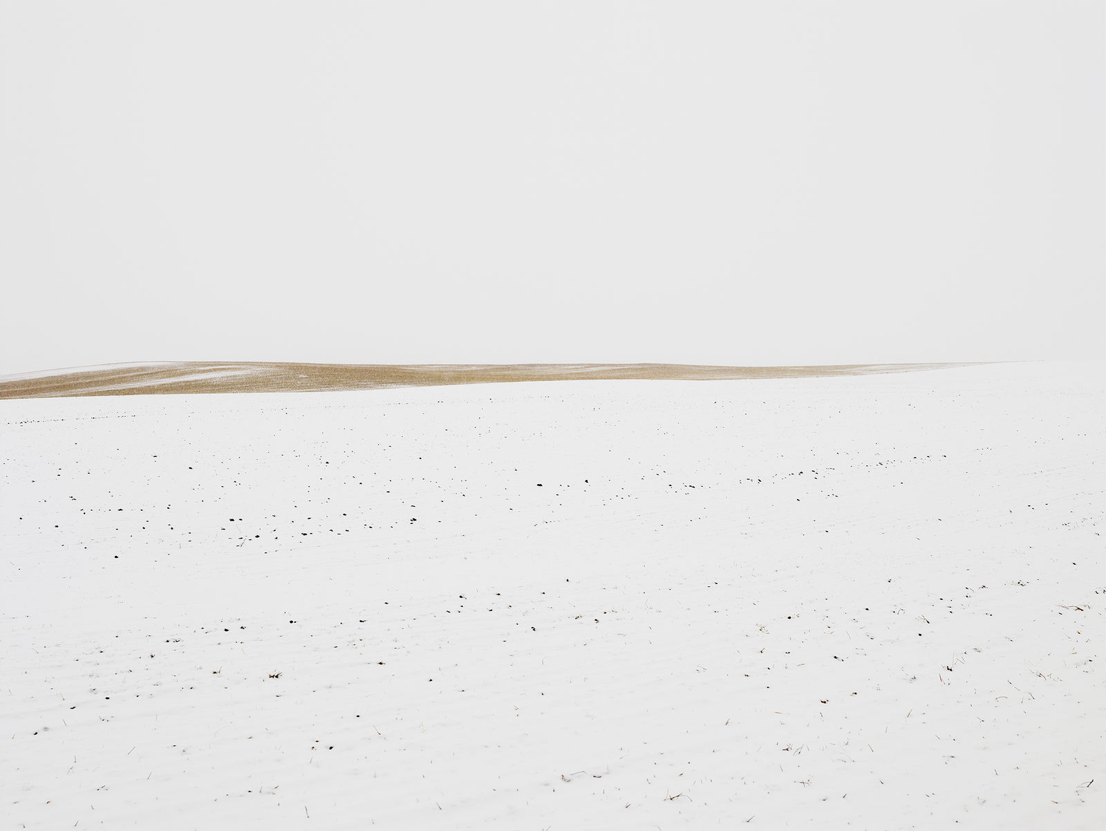 Josef Hoflehner, Winter Prairie, Wyoming, 2014