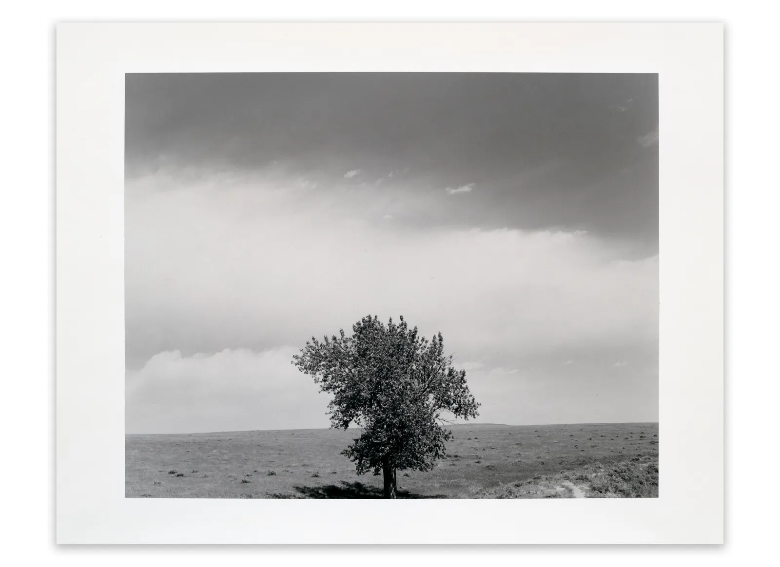 Robert Adams, Pawnee National Grasslands, Colorado, 1984