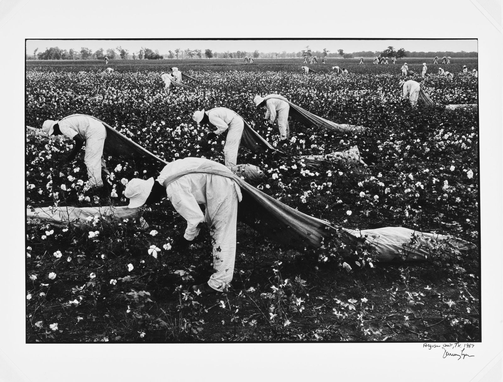 Danny Lyon, The Cotton Pickers, Ferguson Unit, Texas, 1967