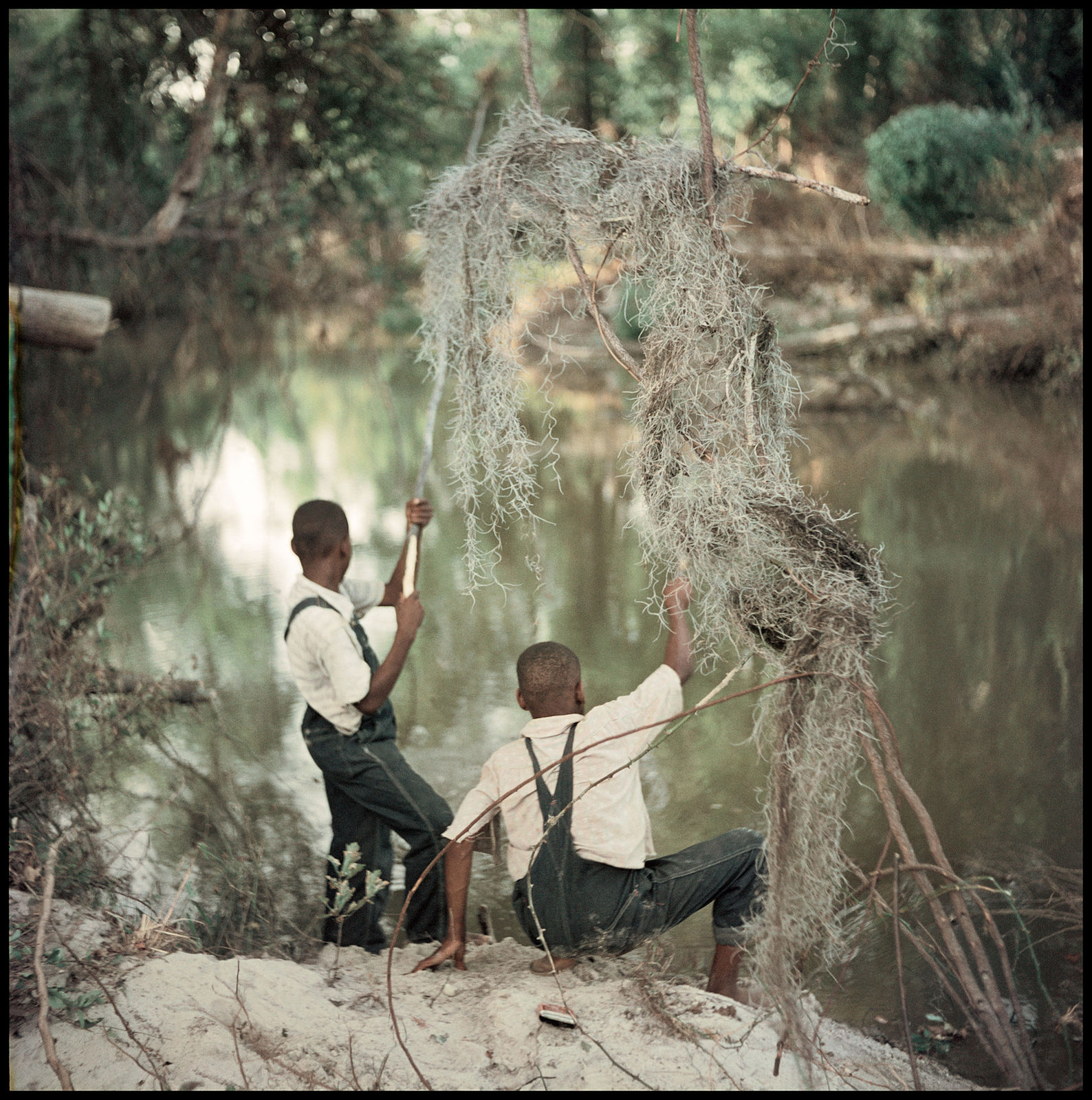 Gordon Parks, Untitled, Shady Grove, Alabama (37.048), 1956