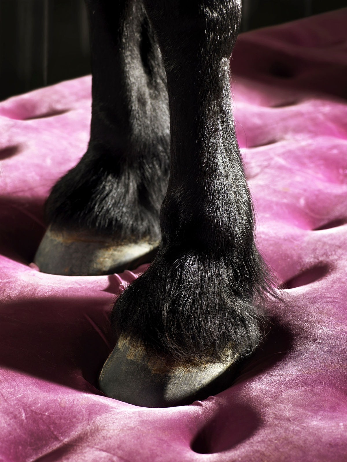 Edith Maybin, Untitled #13, The Conversation Document, 2008