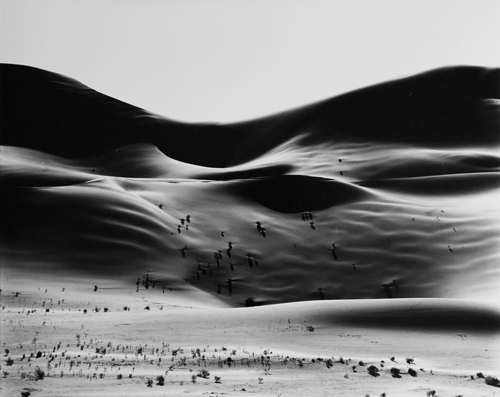 Brett Weston, Dunes
