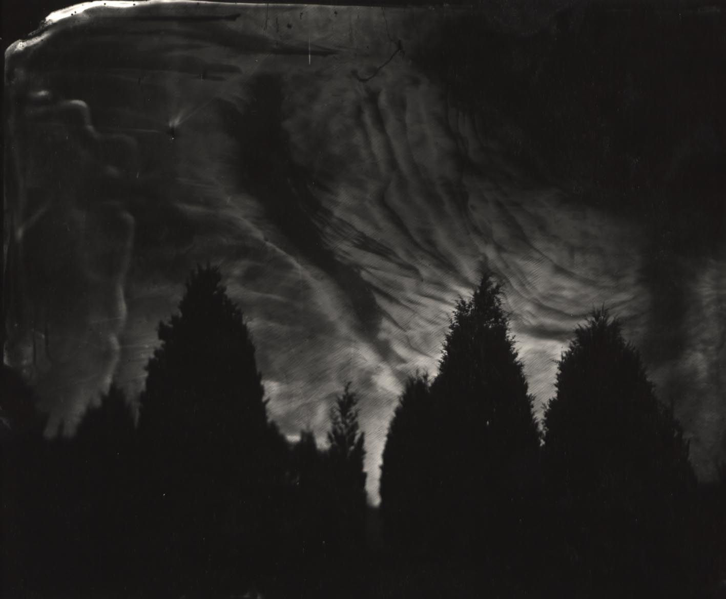 Sally Mann, Untitled (Fredericksburg #22), 2002