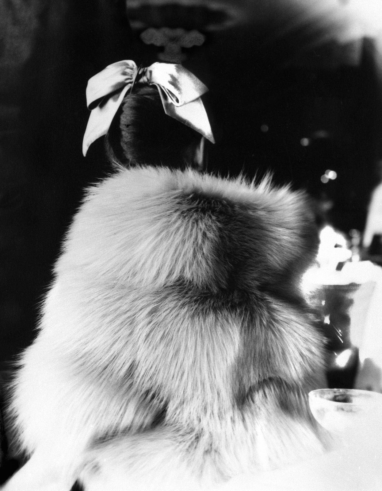Lillian Bassman, The Little Furs: Mary Jane Russell in a Cape-Jacket by Ritter Brothers at the Essex House, New York