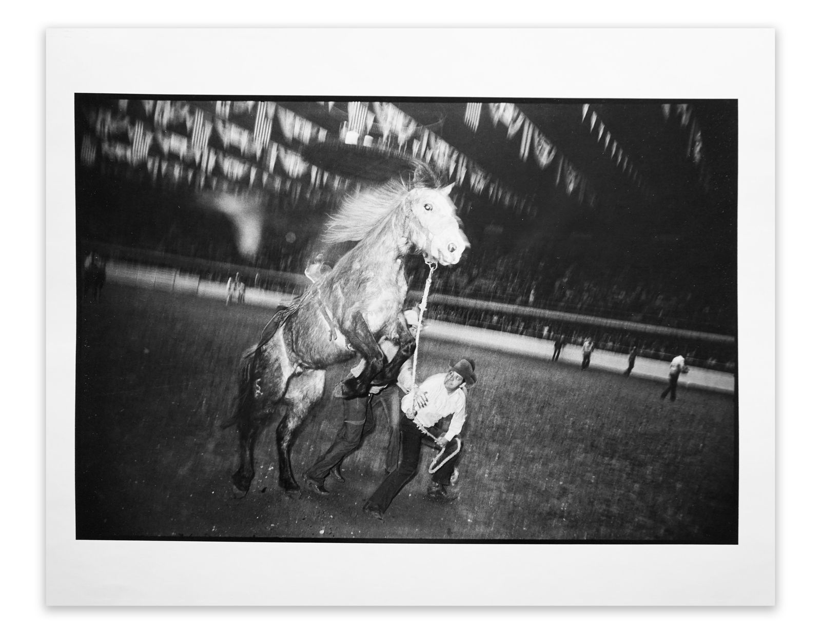 Garry Winogrand, Cowboy Holding Horse at Rodeo