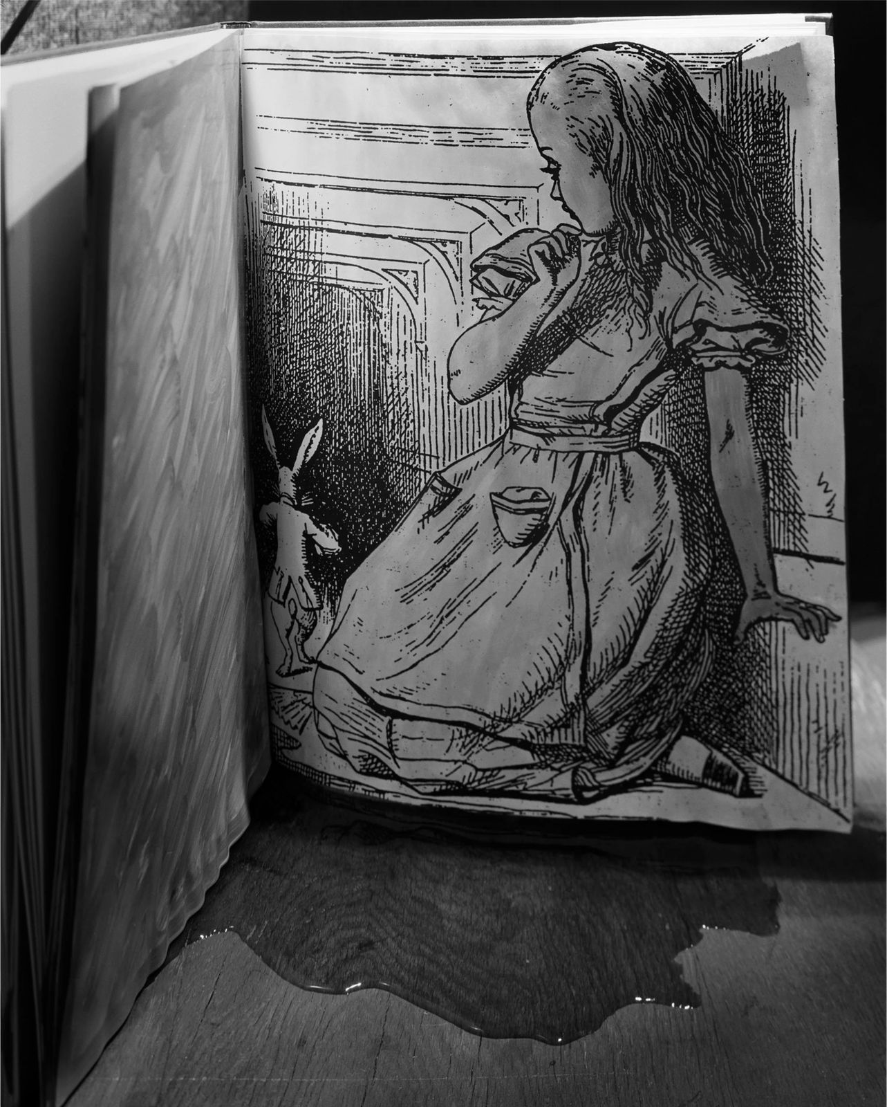 Abelardo Morell, The Pool of Tears