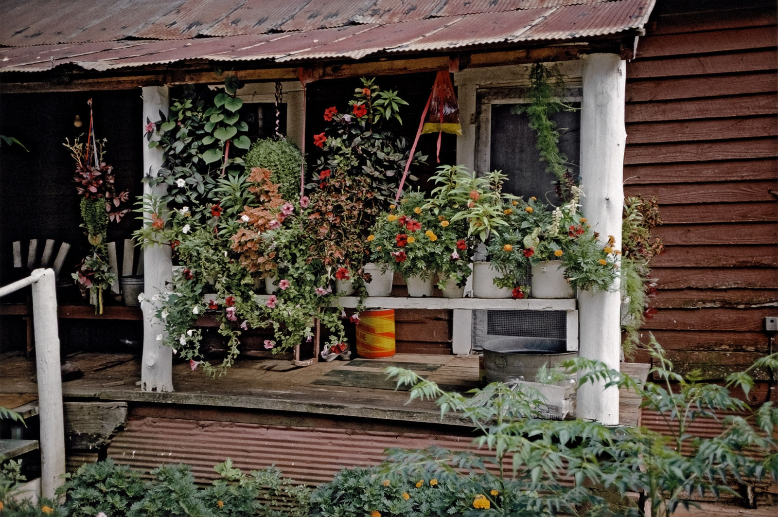 William Christenberry, House with Flowers, near Morgan Springs, Alabama, 1984