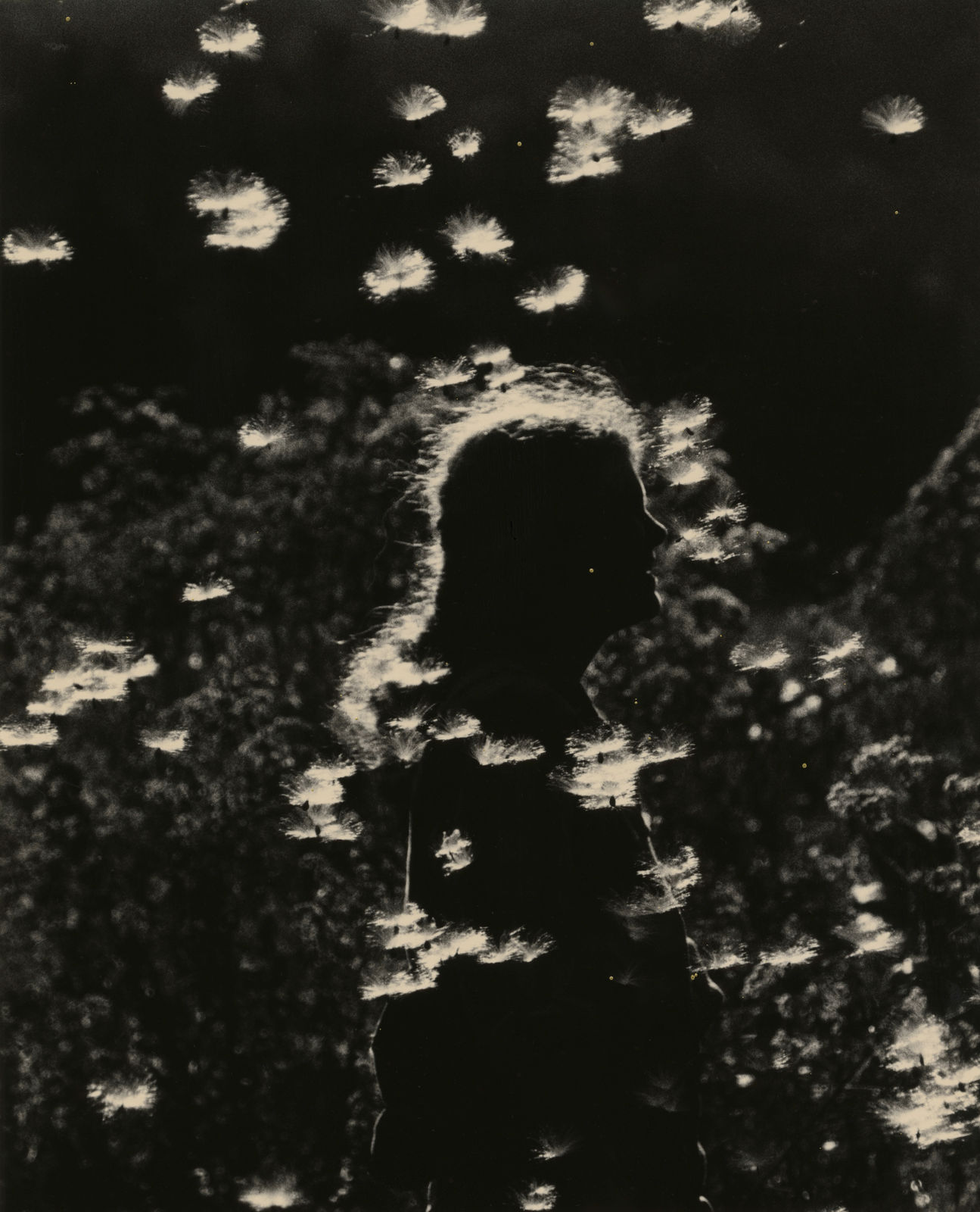 Yamamoto Masao, Kawa=Flow #1633