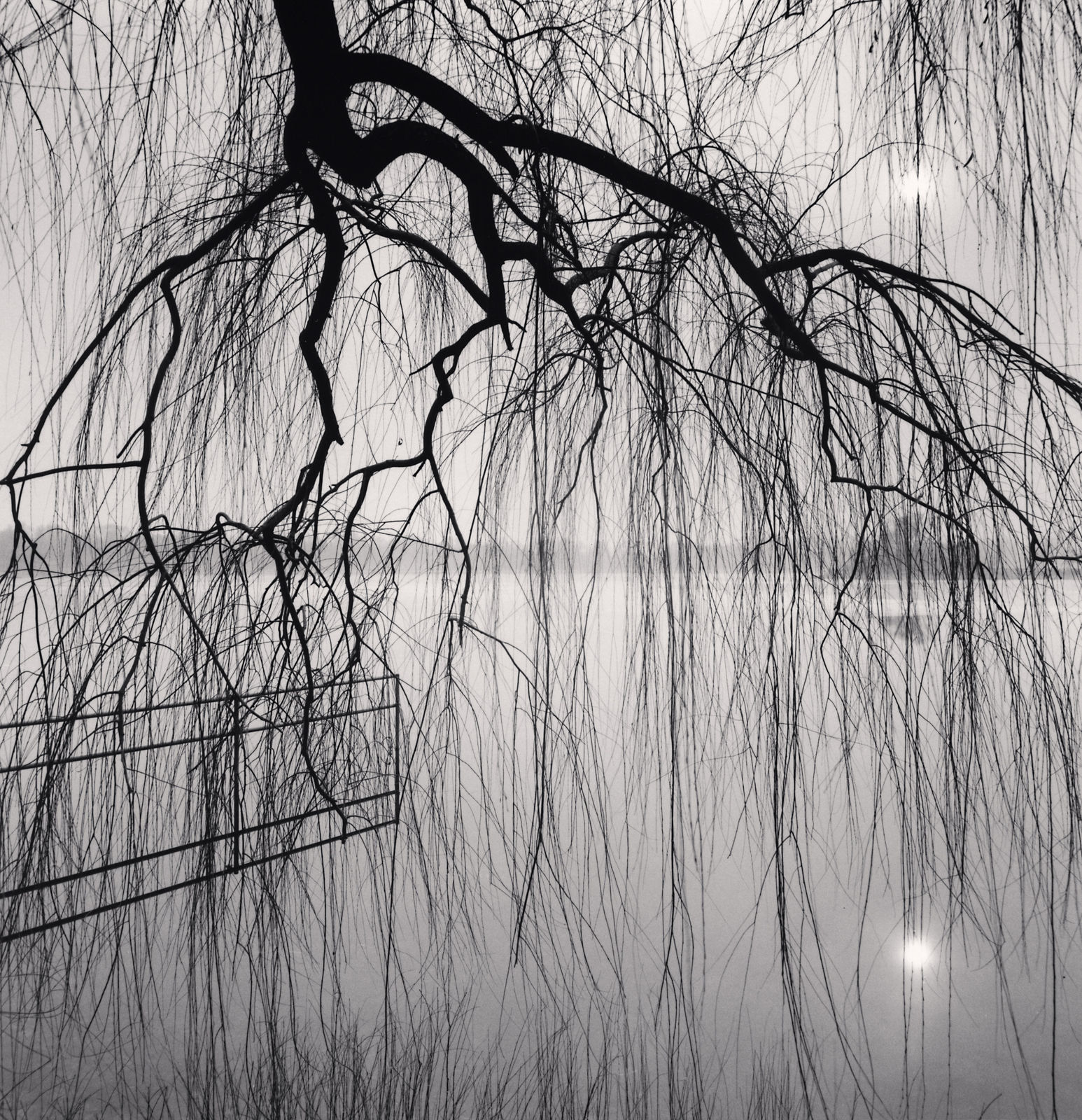 Michael Kenna, Lake Tree, Beihai Park, Beijing, China, 2008
