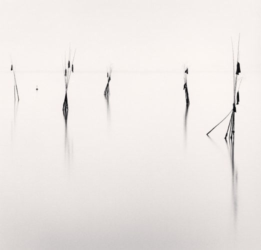 Michael Kenna, Bamboo Harbor Guides Study #2, 2002
