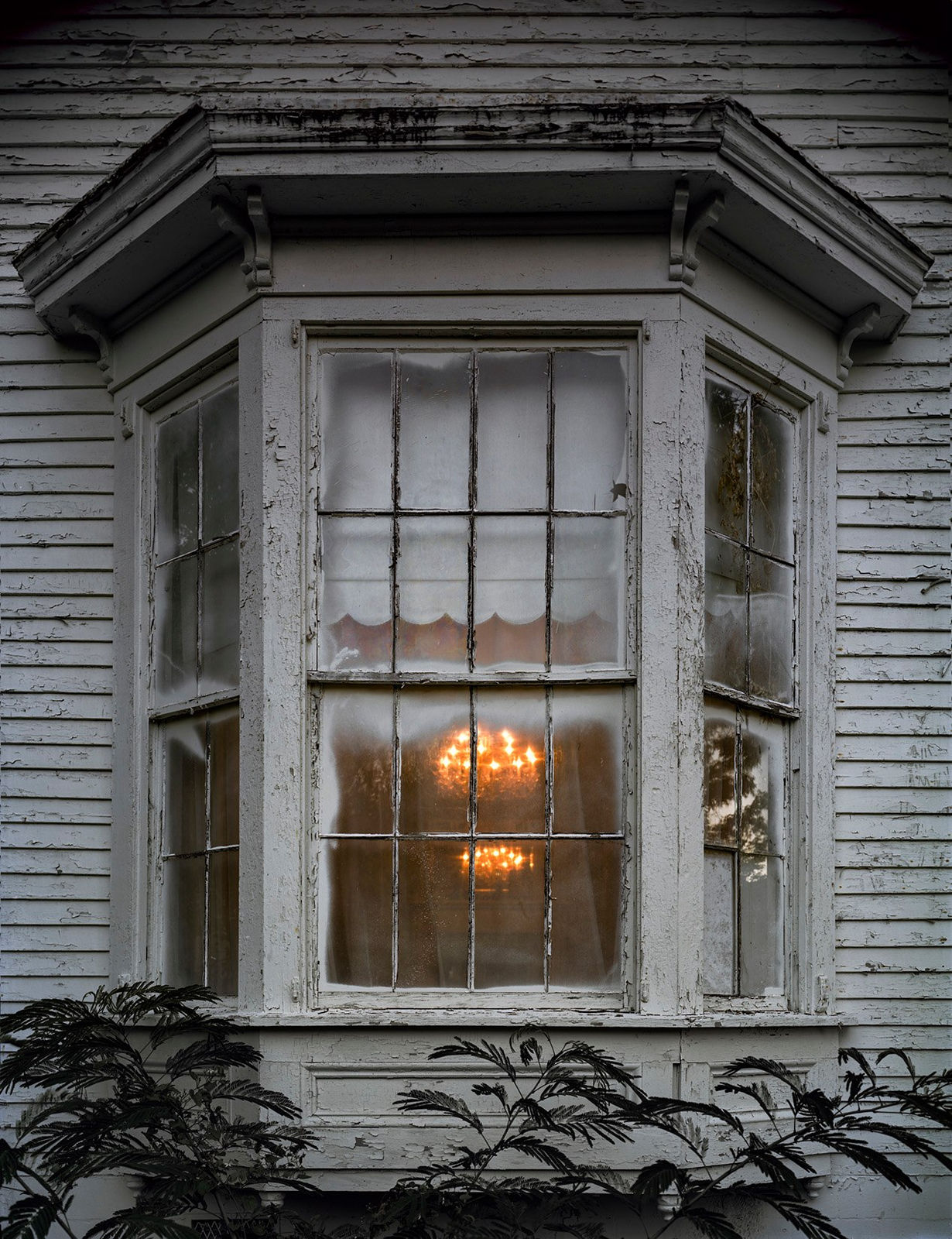 Andrew Moore, White Bay, Eufala AL, 2016