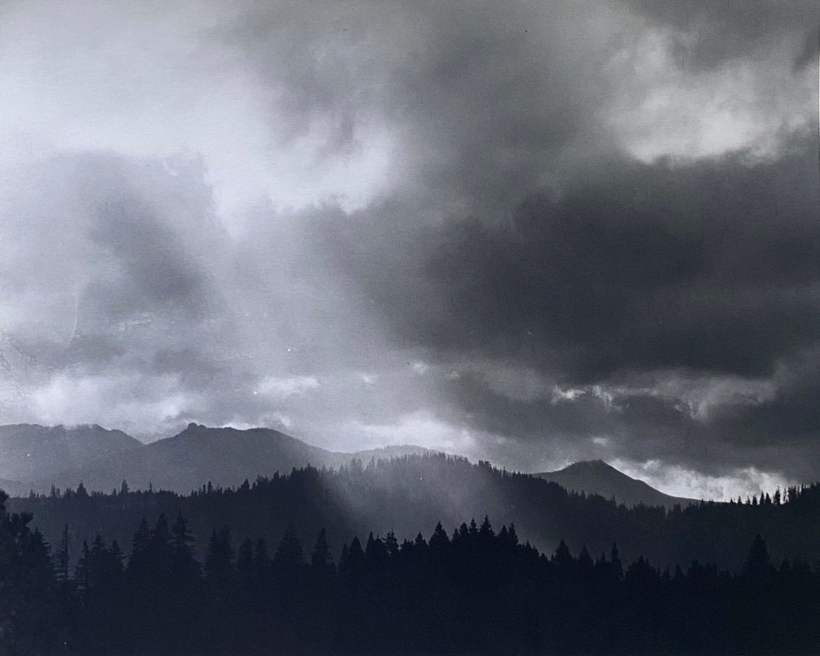 Tommy Nease, Untitled, 2019