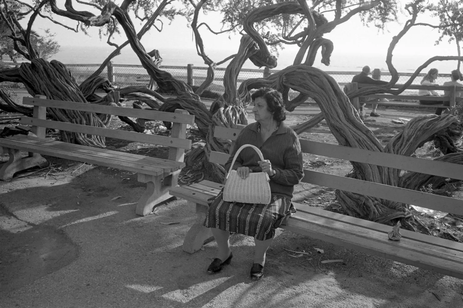 Mark Steinmetz, Santa Monica, California, 1984