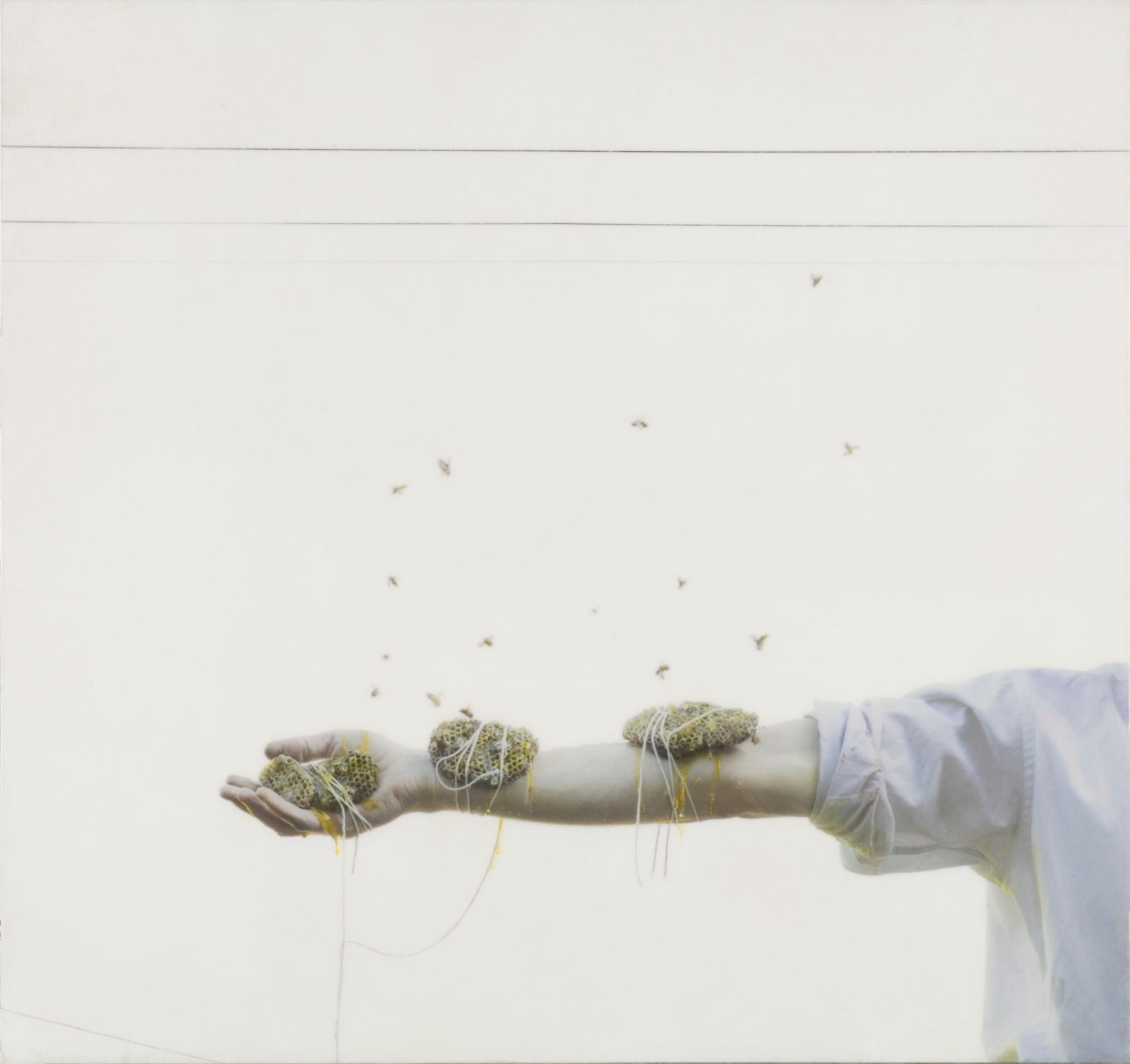 Robert & Shana ParkeHarrison, Spring Arm, 2007