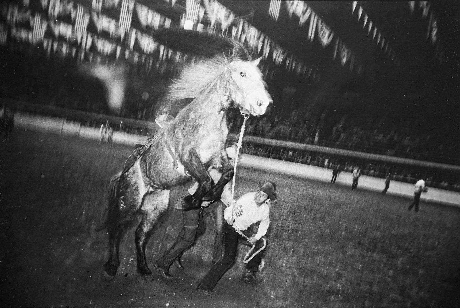 Garry Winogrand, Cowboy Holding Horse at Rodeo