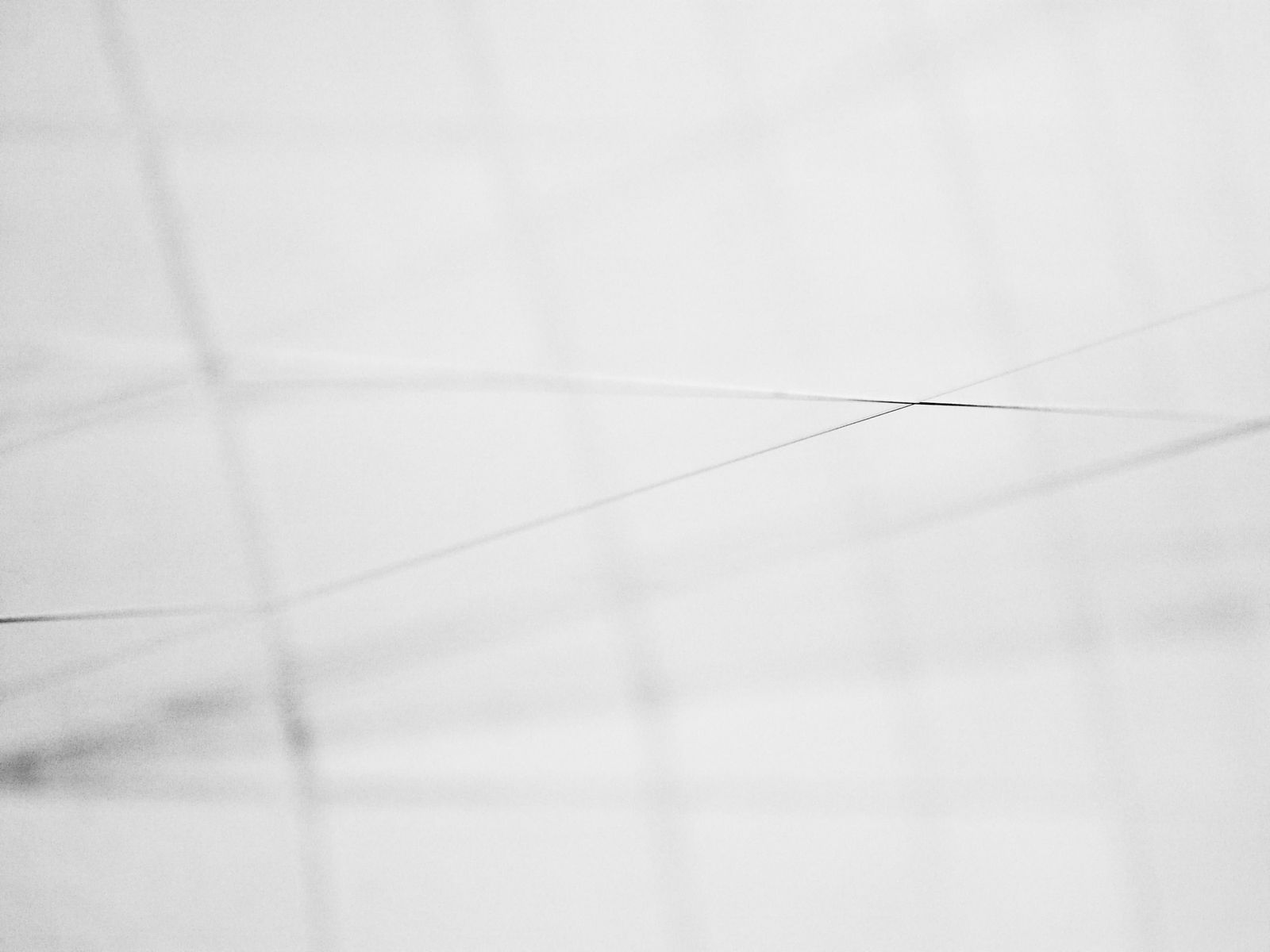 Mona Kuhn, AD 11193, 2013