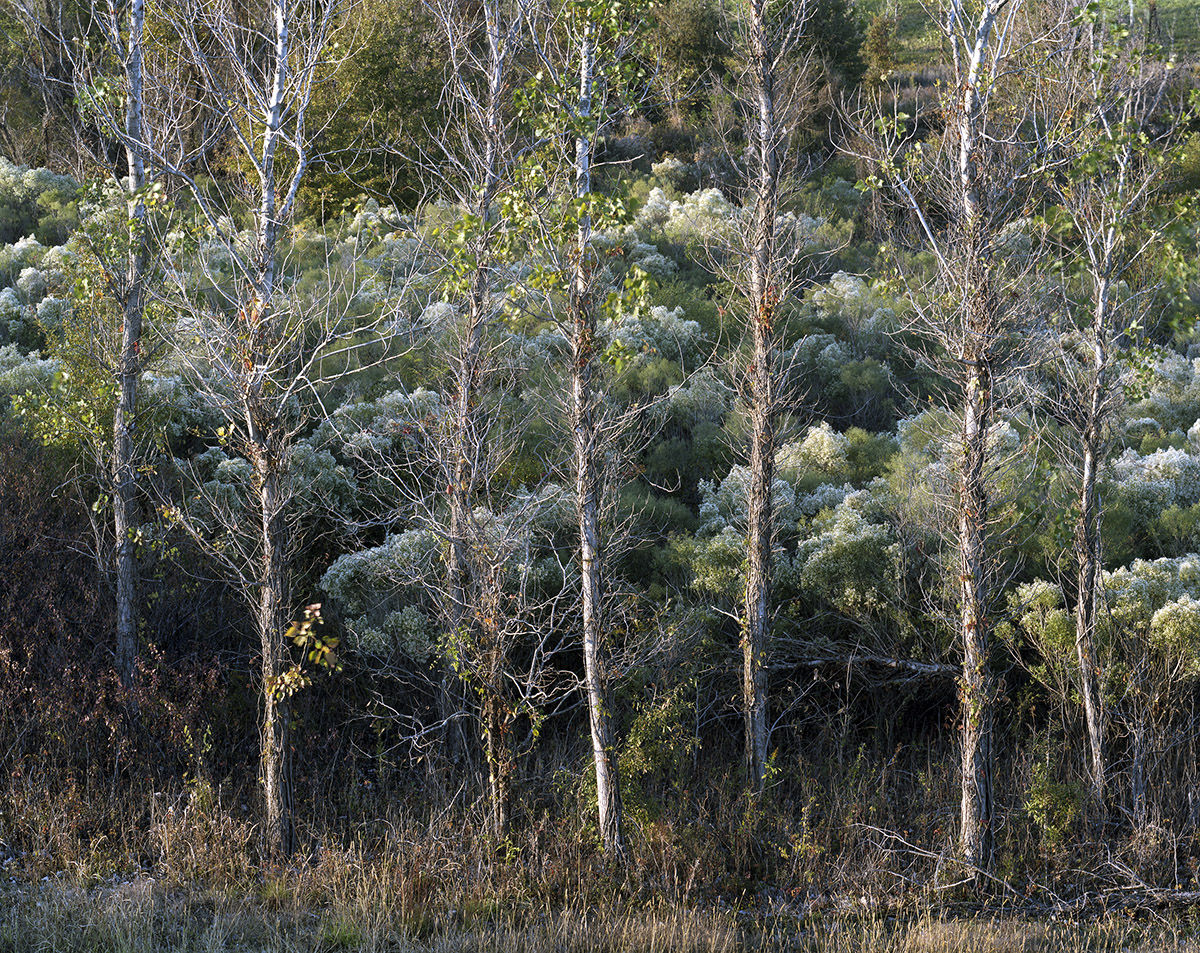 Andrew Moore, Delta Winter, MS, 2012