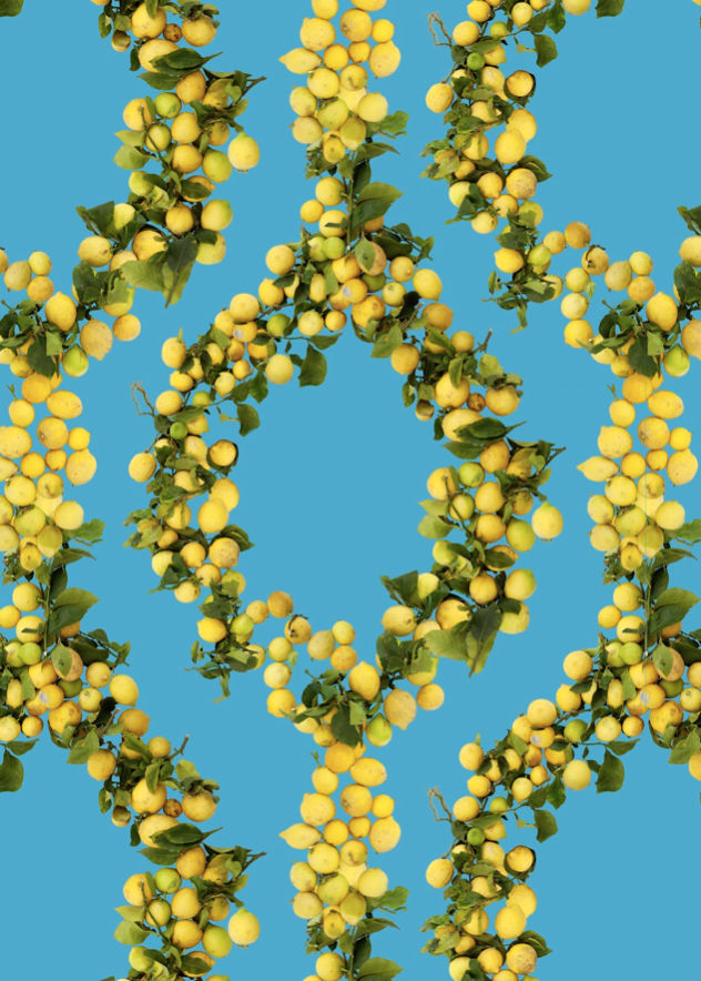 Fallen Fruit, Lemon/Santa Barbara Wallpaper, 2013