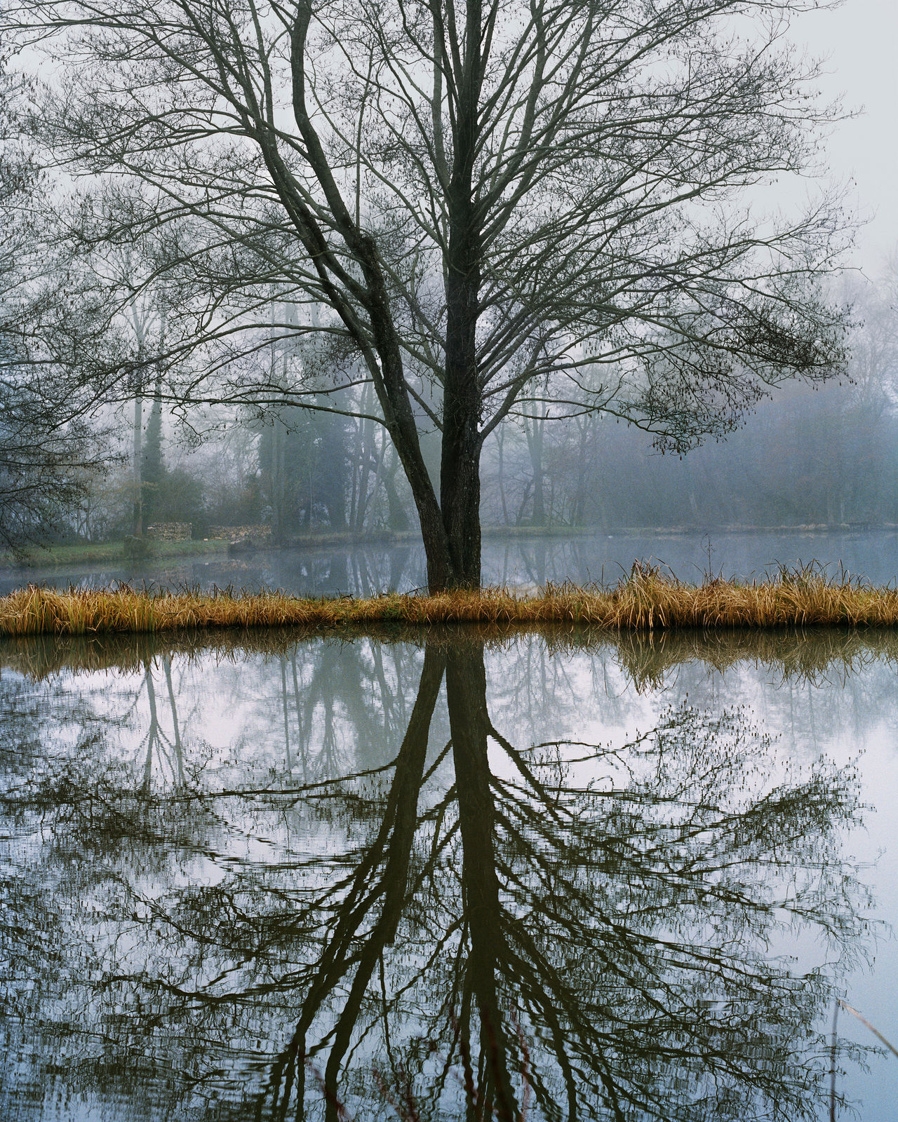 Vee Speers, Untitled #7, Phoenix, 2020