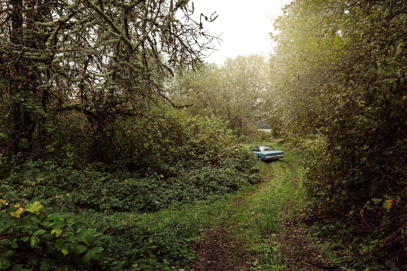 Holly Andres, River Road: Milepost 38, 2015