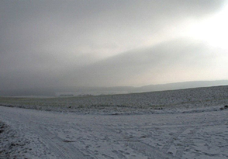 Thomas Struth, Odenwald, 2006