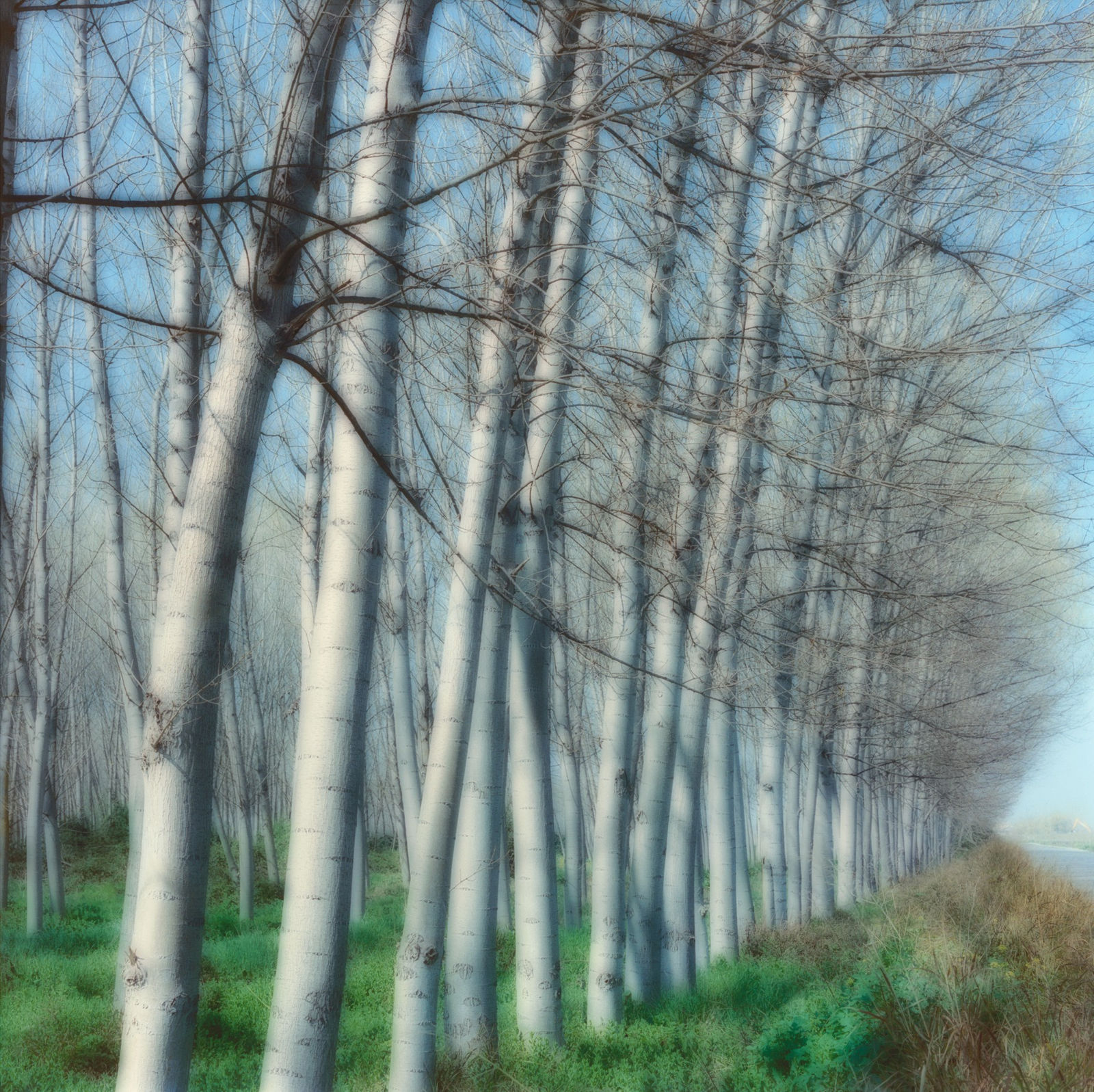 Lynn Geesaman, Andalucia, Spain, (3-02-43c-10), 2002