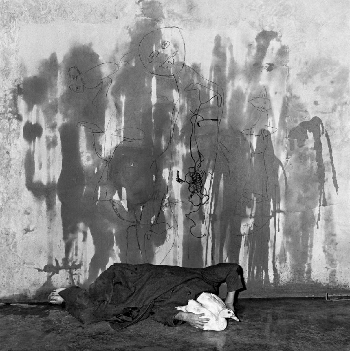 Roger Ballen, Wall of Shadows, 2003