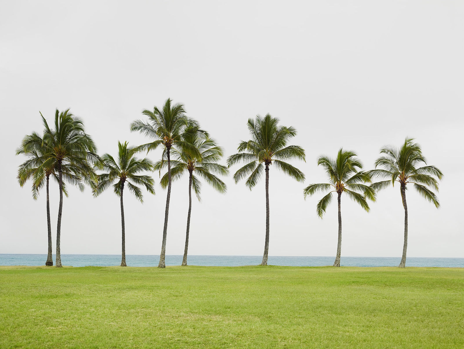 Josef Hoflehner, Beach Park, Hawaii, 2013