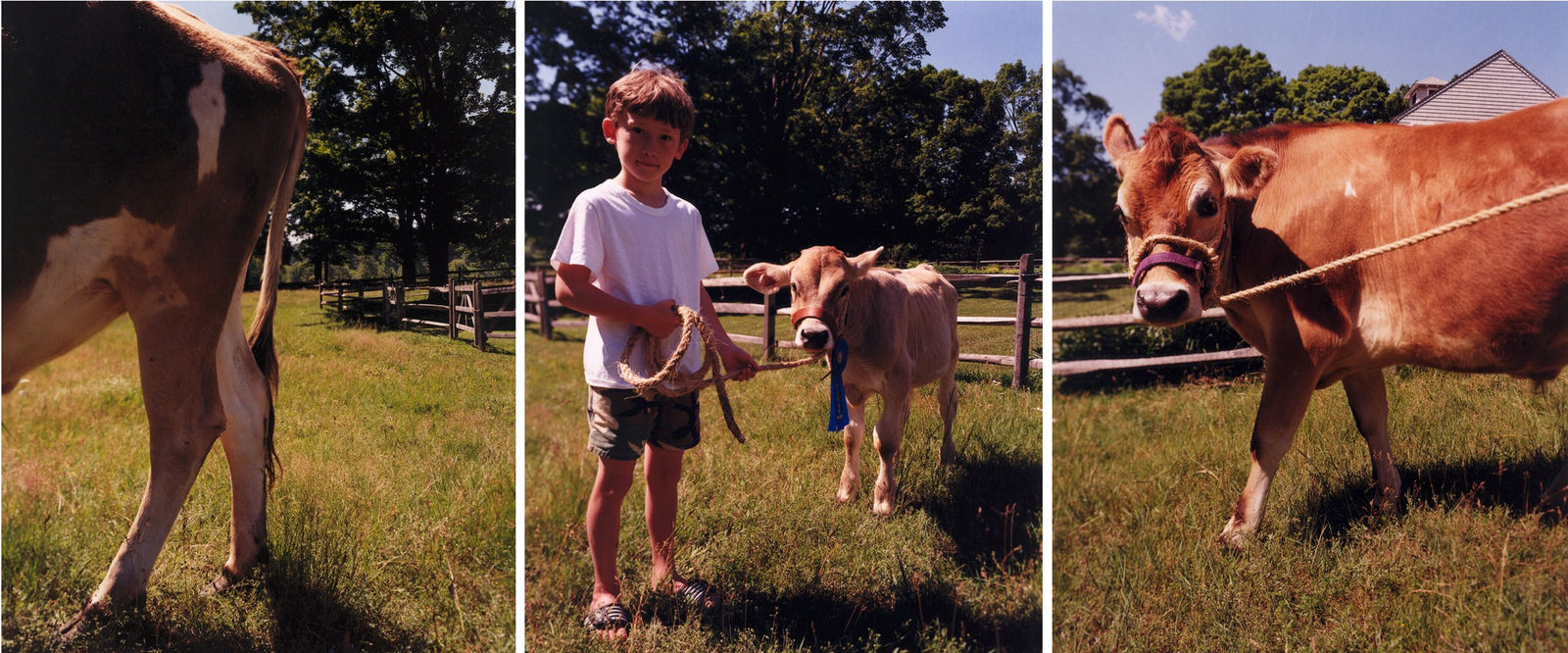 David Hilliard, First, 2002