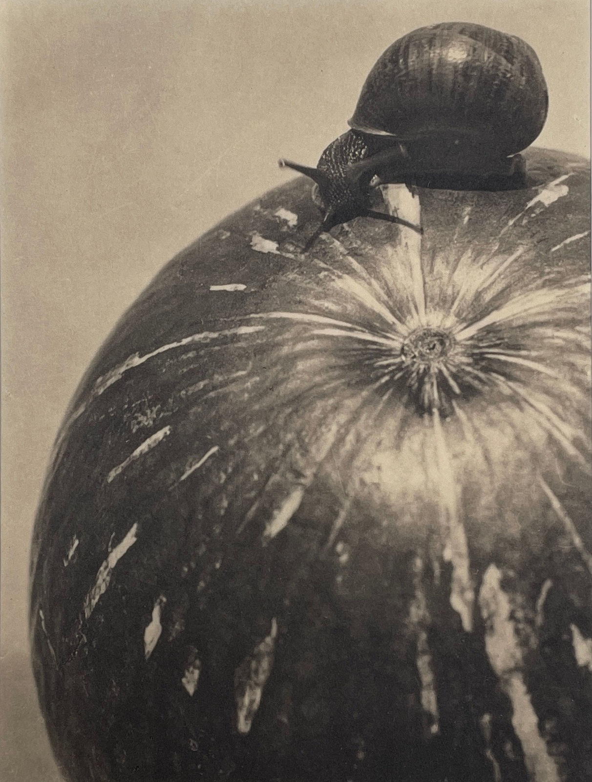 Manuel Álvarez Bravo, Platinum portfolio (portfolio of 10), 1927-1974