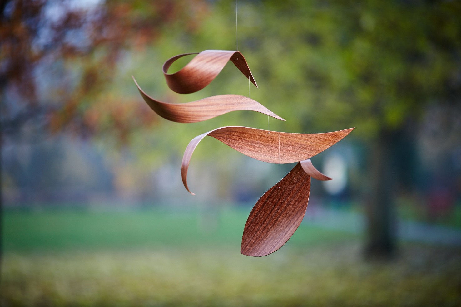 Juliet and Jamie Gutch, Garden Series