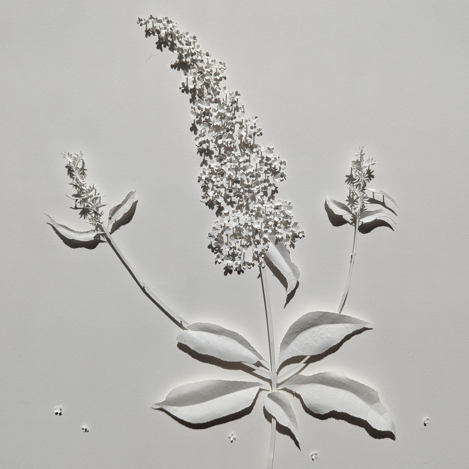 Rachel Shaw Ashton, Since I Was 10 Years Old - Buddleia