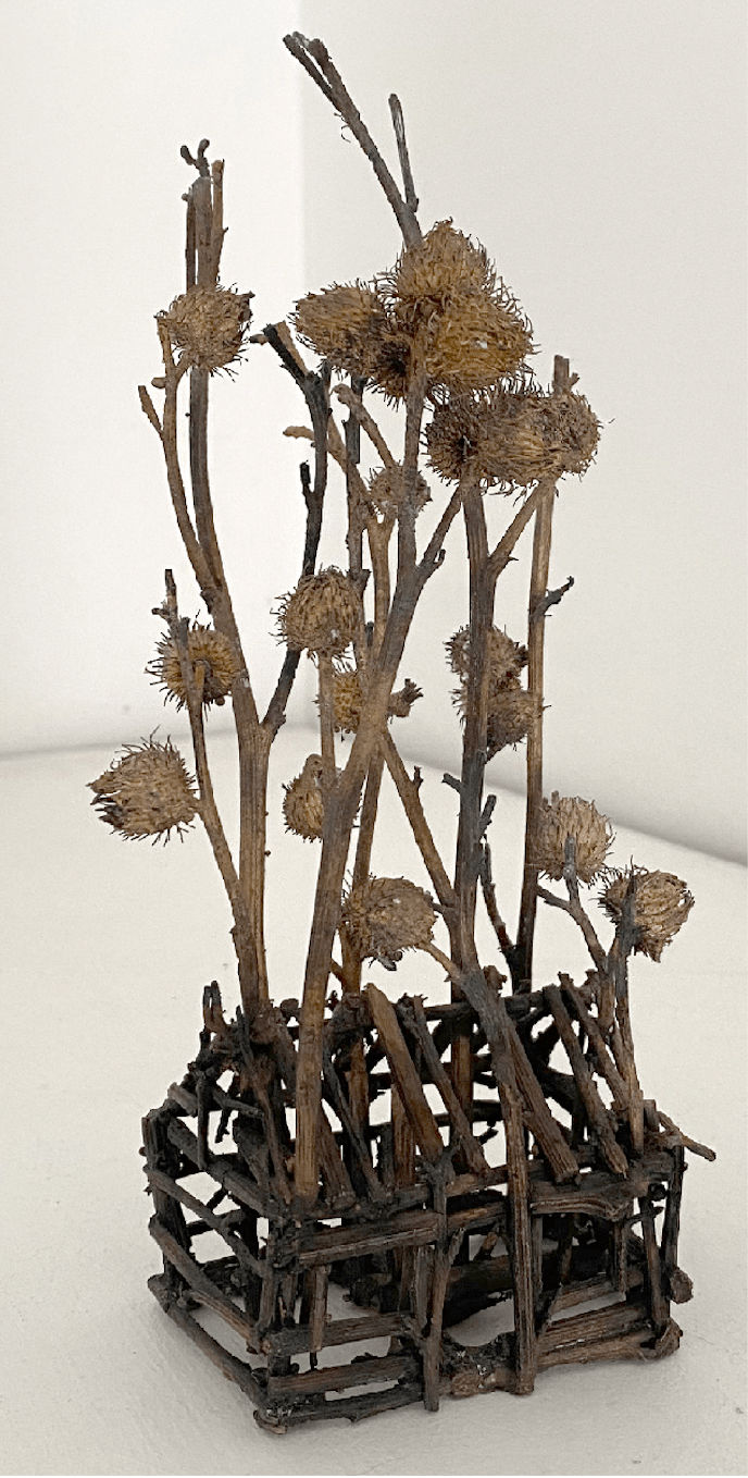 Robyn Neild, Cottages Series