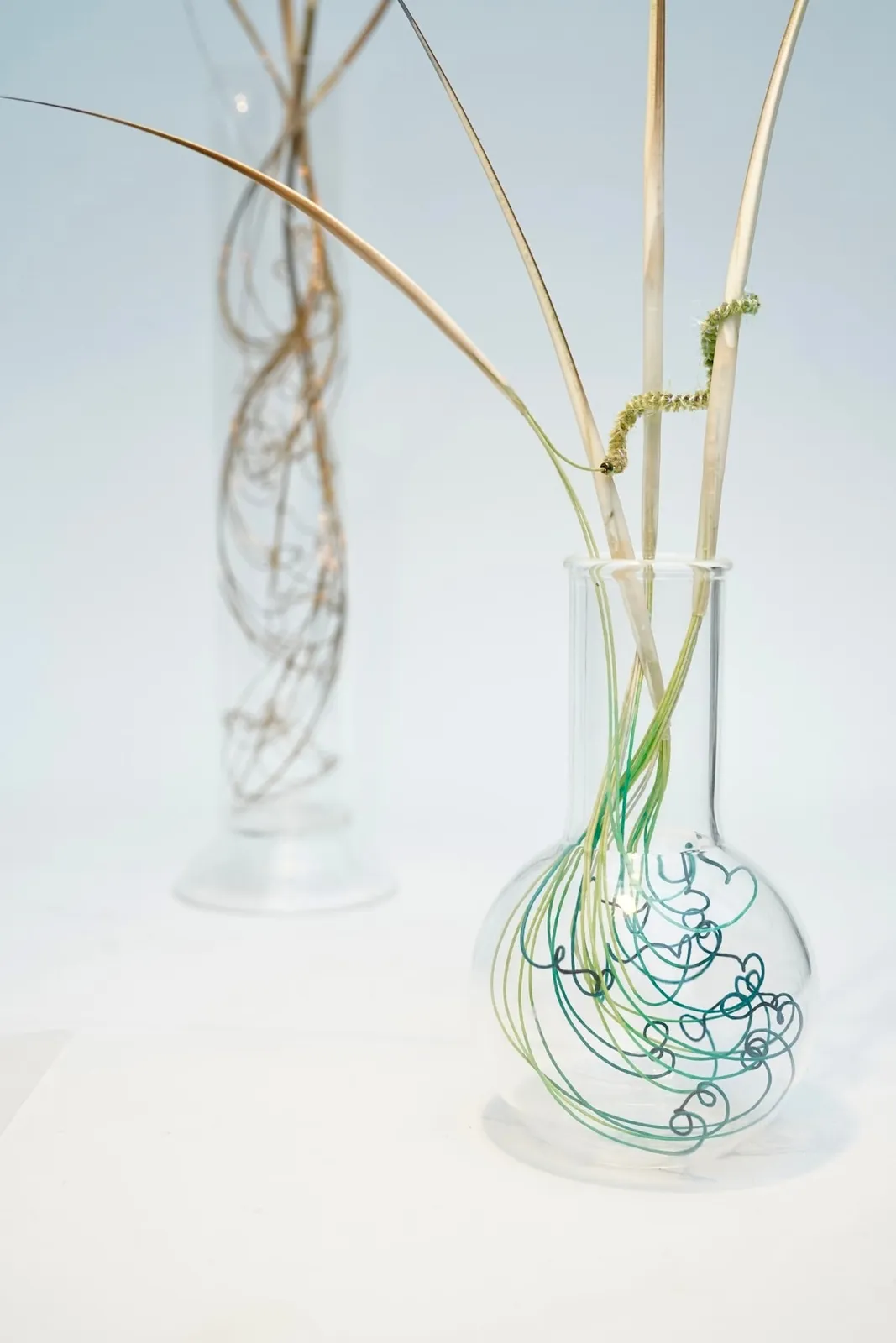 Bridget Bailey, Roots and Shoots with Caterpillar