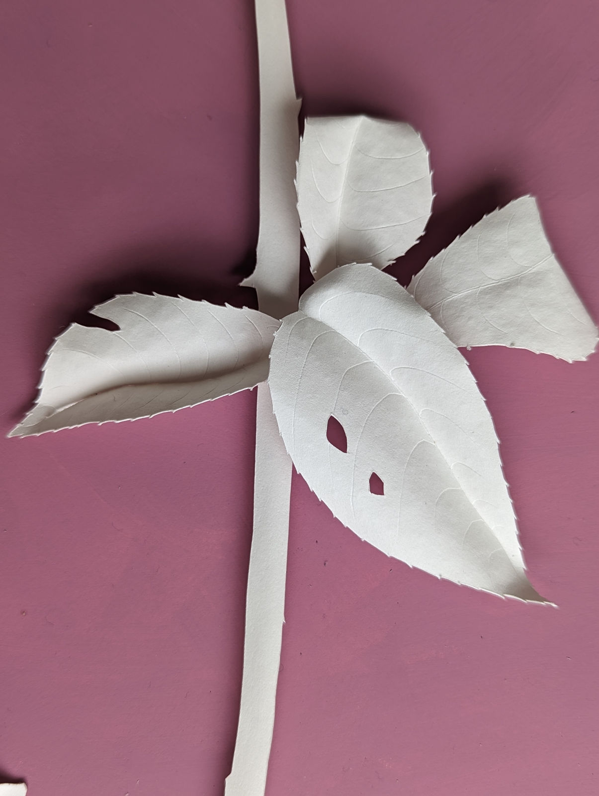 Rachel Shaw Ashton, We Love You So Much – Damask Rose Rose